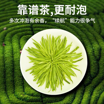 传奇会绿茶 碧螺春500g 2024年雨前盒装春茶茶叶自己喝