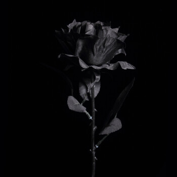 黑暗jk写真拍照摄影道具 哥特黑玫瑰假花花束装饰 黑色大号 花朵直径