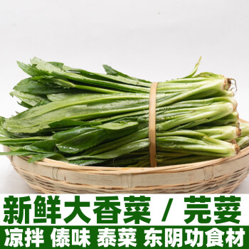 云南新鲜大香菜芫荽刺芫荽缅刺芫泰国香菜刺芹傣味500克