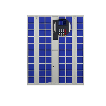 峦盾（Range shield）60格手机智能存放柜 手机存放柜 指纹识别工厂单位员工商场超市多门储物柜