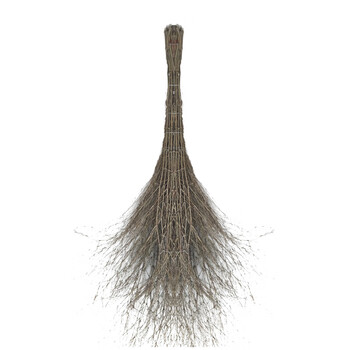 卉营（HUIYING）扫帚 大扫帚 竹制 2000*800mm /把 可定制