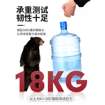 汇采 进口尼龙扎带 束线捆绑自锁式扎线 尼龙塑料扎带 4×300MM 1000根