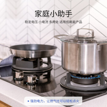 飞利浦（PHILIPS）碳性燃气灶电池 大号1号电池2粒适用热水器/煤气灶/手电筒/收音机/电子琴一号电池 R20