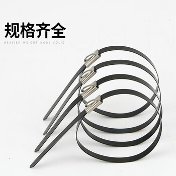 飞尔（FLYER）不锈钢扎带 黑色自锁式 束线带 金属钢带 100根/包【5.6×450MM】