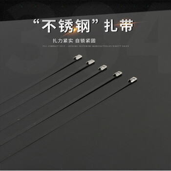 飞尔（FLYER）不锈钢扎带 黑色自锁式 束线带 金属钢带 100根/包【5.6×300MM】
