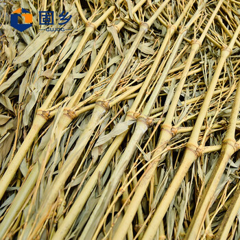 固乡 环卫大扫把【5斤两把装】户外加大加宽扫院子扫帚竹笤帚竹扫把