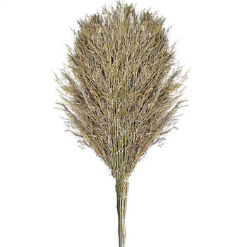 领象 环卫扫把笤帚扫帚 扫马路竹扫把 竹扫帚大扫把高1.7米竹编把3个装