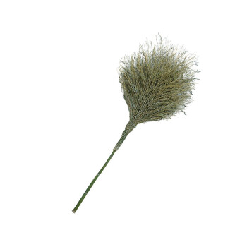 苏识 QJ0004 竹杆把大扫把扫帚扫马路扫院子室外物业 2号竹竿把大扫把（3斤） 一把