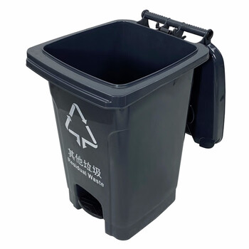 兰诗 XD-60 新国标户外脚踏分类垃圾桶酒店物业环卫小区果皮箱 60升黑色-其他垃圾