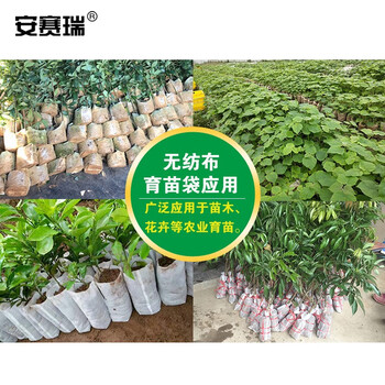 安赛瑞 无纺布育苗袋（1000个）无纺布植物种植袋营养袋营养钵一次性育苗花盆 装土前15x19cm 530425