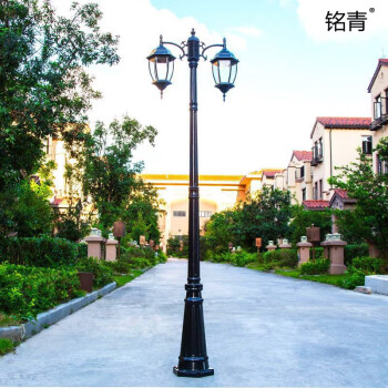 铭青 欧式路灯户外防水庭院灯草坪灯高杆灯景观灯 市电款3.2m双头黑色（配20wled球泡）