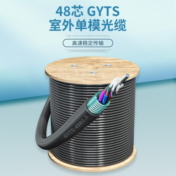 千天（Qantop）48芯铠装光缆 电信级室外GYTS单模层绞式直埋光纤线 100米 QT-GYTS-48B1.3-100
