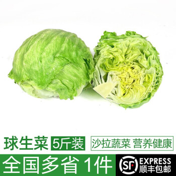 绿食者  球生菜5斤 西生菜圆生菜 汉堡用西餐沙拉色拉食材 健康轻食蔬菜 5斤