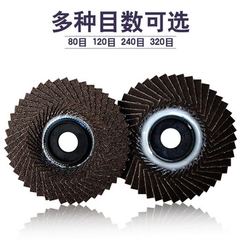 蓝凤凰  100型花叶轮百叶片不锈钢边角打磨软磨片可弯曲百页轮砂布轮木工抛光片 软磨片蓝砂240目 【20片装】