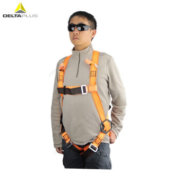 代尔塔（Deltaplus）501013双挂点胸扣安全带高空作业安全带定做 交期稍久联系客服确认 1条