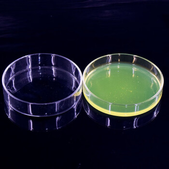 海斯迪克 HKQS-150 加厚玻璃培养皿 细胞培养高硼硅培养皿 玻璃高透明平皿 60mm