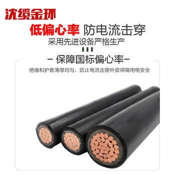 沈缆金环 ZR-YJV-0.6/1KV-1*70mm² 国标铜芯阻燃电力电缆 1米