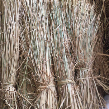 益美得 WYQ0099 防滑草垫大棚护坡草袋防冻保温草垫子稻草帘子 原始稻草1捆