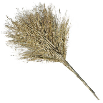 兰诗（LAUTEE）DM-213 环卫竹扫把 清洁大扫把 竹枝连体3.5斤款1个装