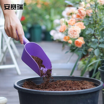 安赛瑞 塑料铲子 塑料小铲清洁工具小铲子养花工具园艺种菜加厚铲 长约31cm 紫色 530940