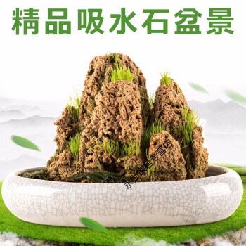 35-40cm吸水石不含盆 草籽配石