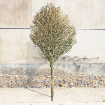 者也 环卫大扫把竹扫把马路物业工厂户外加大加宽扫院子扫帚柏油路清扫竹竿笤帚 23号：竹竿带叶5斤