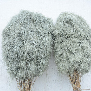 卫洋 WY-0016 手工扫把 清洁扫把物业工厂 环卫工塑料丝大扫把 5把装