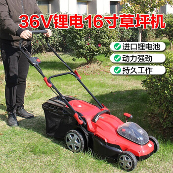 奥晟机械（AOSHENG）36V锂电草坪机 电动割草机打草机物业足球场草地推草机 充电式手推式除草机剪草机