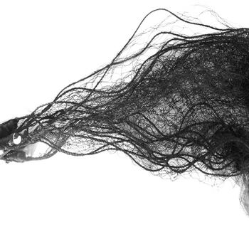 鸟语林 TDWS-415 机场驱鸟专用防鸟网普通型 4M*15M 双纲防风设计鸟杆驱鸟剂