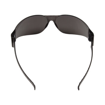 霍尼韦尔D4Y S99101 S99防雾遮阳防护眼镜 防冲击喷溅眼镜(灰色) 1副