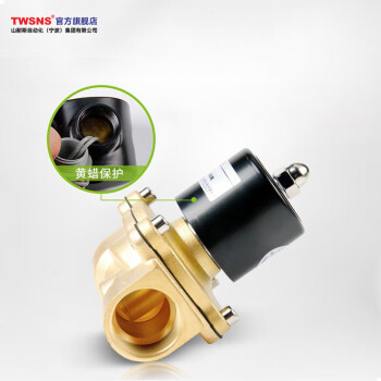 山耐斯（TWSNS） 电磁开关水阀常闭型 2W500-50(2寸接口) AC220V 