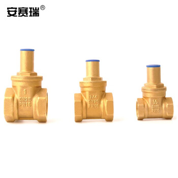 安赛瑞 黄铜带锁闸阀 自来水闸阀开关防盗锁闭阀门 DN25 1寸 430617
