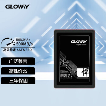 光威（Gloway）256GB SSD固态硬盘 SATA3.0接口 悍将系列