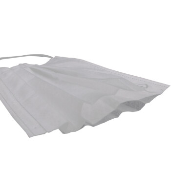 星工（XINGGONG）一次性口罩 防雾霾飞沫沙尘暴花粉柳絮透气 白色200只装