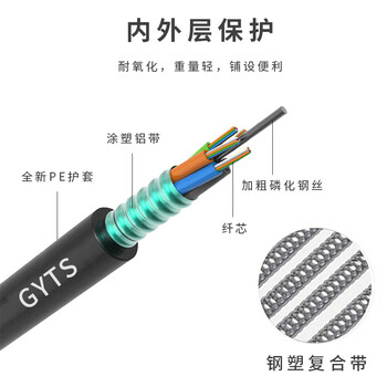 千天（Qantop）12芯铠装光缆 电信级室外GYTS单模层绞式直埋光纤线 2000米 QT-GYTS-12B1.3-2000