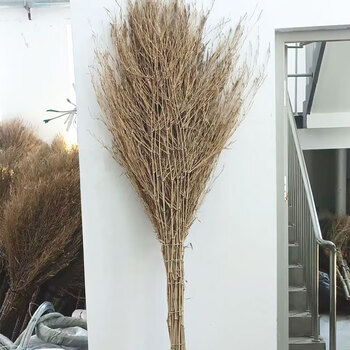 工霸（GONGBA）手工大竹扫 加厚环卫大扫把大扫帚 特制 竹把（1把）定制