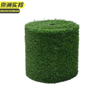 京洲实邦 3cm加厚春草 仿真草坪人工塑料假草皮装饰地毯一平方单价JZSB-9056
