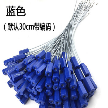 飞尔（FLYER）一次性车封条 物流封签 施封锁扣 钢丝铅封 蓝色 1.8×300mm 100条起批