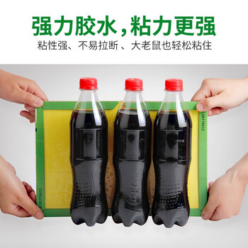 金大侠粘鼠板老鼠贴超强力家用老鼠一窝端捕鼠神器加大加厚灭鼠粘板10片