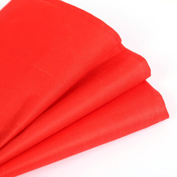 趣行 安全监督+别针 5个装 志愿者执勤安全检查红袖章印刷红袖标值周生安全员执勤等臂章