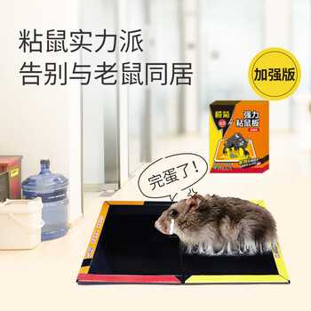 榄菊超强力粘鼠板5片老鼠贴抓老鼠捕鼠胶贴 加厚加黏