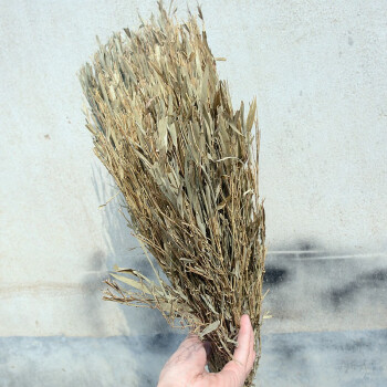卫洋 WY-101 手工扫把竹扫把 竹把小号黑皮2.2斤款5个装 物业环卫工厂用扫帚