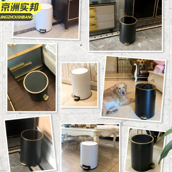 京洲实邦 珍珠白金13L 轻奢不锈钢带盖创意垃圾桶JZSB-LJT1119