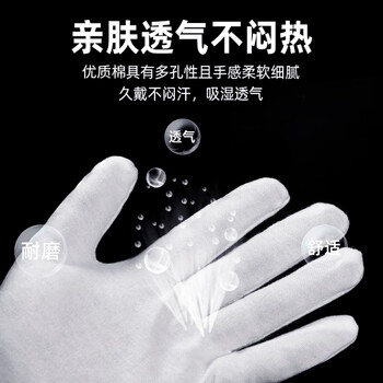 者也（ZYE）礼仪手套 加厚棉汗布劳保手套检阅表演白手套 加厚棉12双 