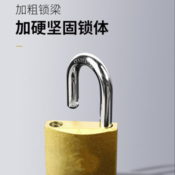 驼铃纵横 AQQJ0008 仿铜挂锁防盗锁防锈防水门锁锁头小锁子柜子抽屉箱锁 50#一字