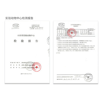 消博士 免洗手消毒凝胶 医院外科用速干乙醇洗手液 含酒精杀菌消毒液 公司工厂学校成人儿童 500mlx2瓶