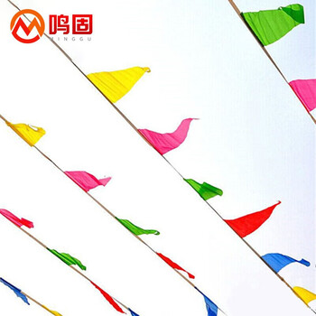 鸣固 小彩旗三角串旗 工地用警戒开业活动装扮吊旗可定制 大号白绳22*32cm 100米150面