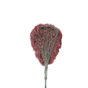 苏识 QJ0009 塑料丝大扫把环卫物业户外马路大扫帚大笤帚 塑料丝大扫把 一把