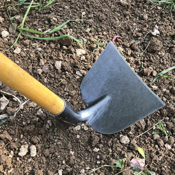 康丽雅 K-0220 木柄锄头 除草锄头开荒翻地锄头宽锄建筑工地灰泥锄 （含柄）锄头大号