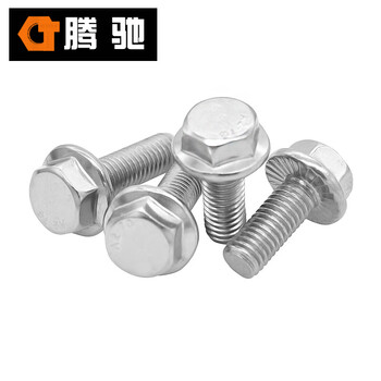 腾驰 CT 304 加大六角法兰螺栓（花齿） GB5789 不锈钢六角螺栓 M6*10（600支/盒）